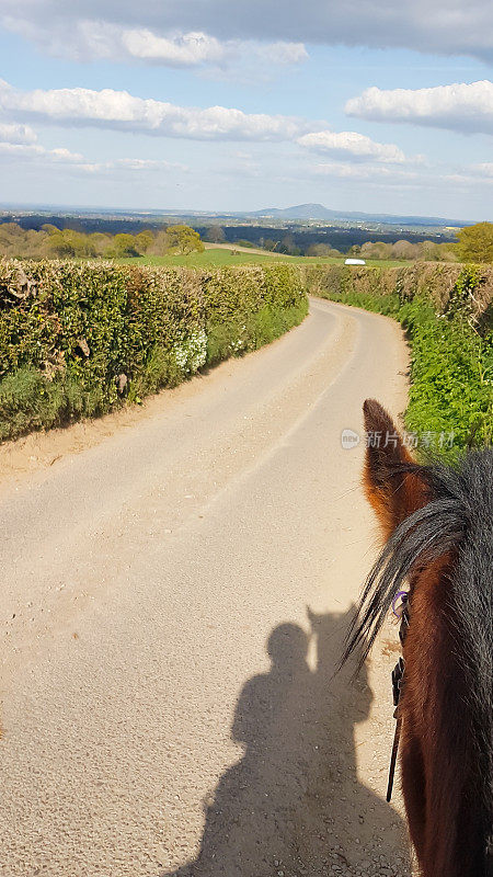 A long and winding road, view from horse back with riders shadow in image and also side of horses head as they look into the distance out riding in the English countryside on a Spring day.